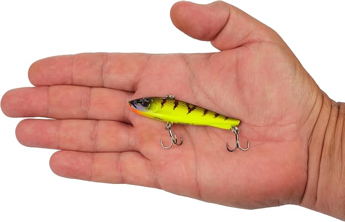 Berkley Ripfish