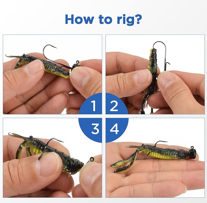 MadBite by KastKing Ned Rig Jig Heads for Soft Fishing Lures, 24-Pack Finesse Standard Mushroom Stand-up Ned Heads Kit, Needle Point Saltwater & Freshwater Versatility Ned Rig Hooks 1/8, 1/16, 3/16 oz