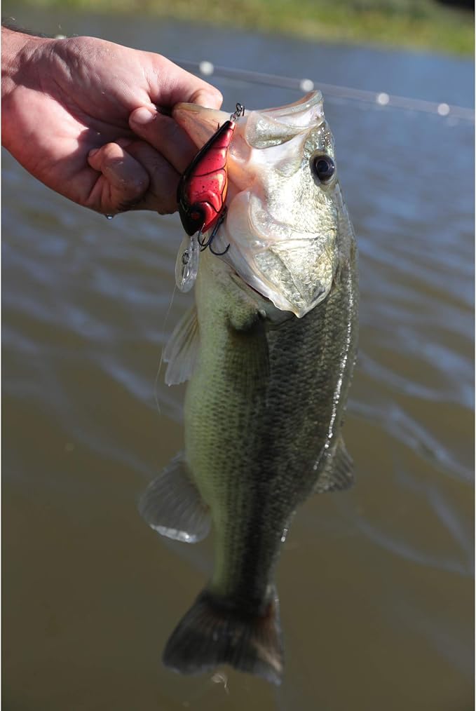 Berkley Dredger Fishing Hard Bait