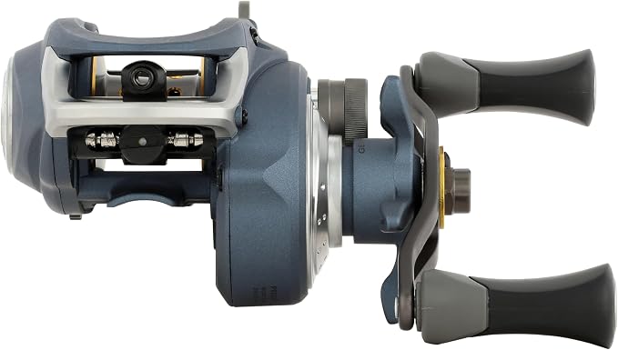 Pflueger President Low Profile Baitcast Fishing Reel