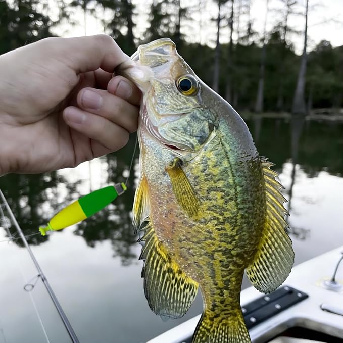 12 Pcs Fishing Bobbers Floats,Snap-on Fishing Bobber Fishing Float Corks Weighted Bobbers for Fishing Crappie Panfish Bluegill Trout