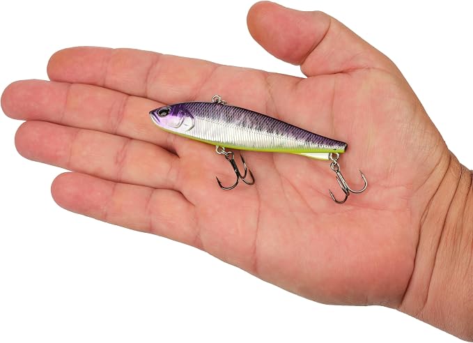 Berkley Ripfish