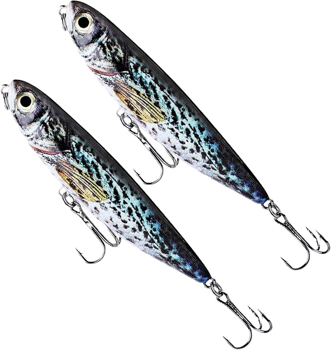 Glide Bait, Slow Sinking Swimbait, Topwater Hard Lures for Bass Catfish,Pike Perch, Freshwater or Saltwater