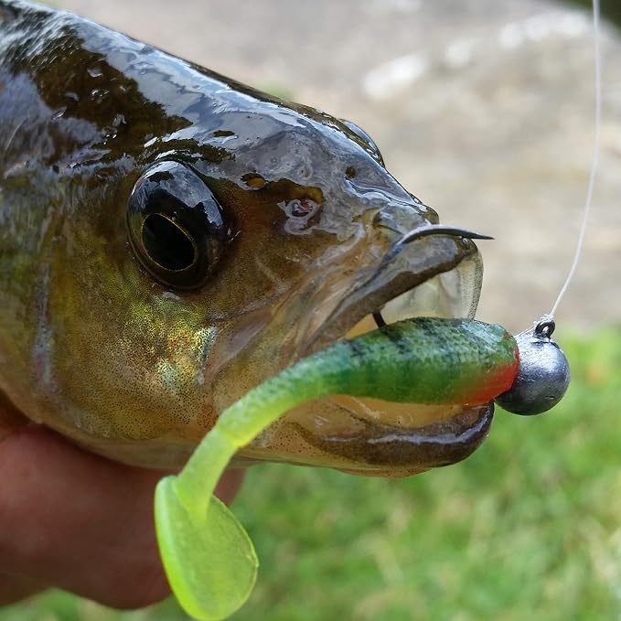 Grub Lures Fishing Jigs Head Hooks Kit- Crappie Jigs Soft Plastic Grub Tail Worm Lure Bait Buster Tubes Baits for Bass Trout Saltwater Freshwater Fishing