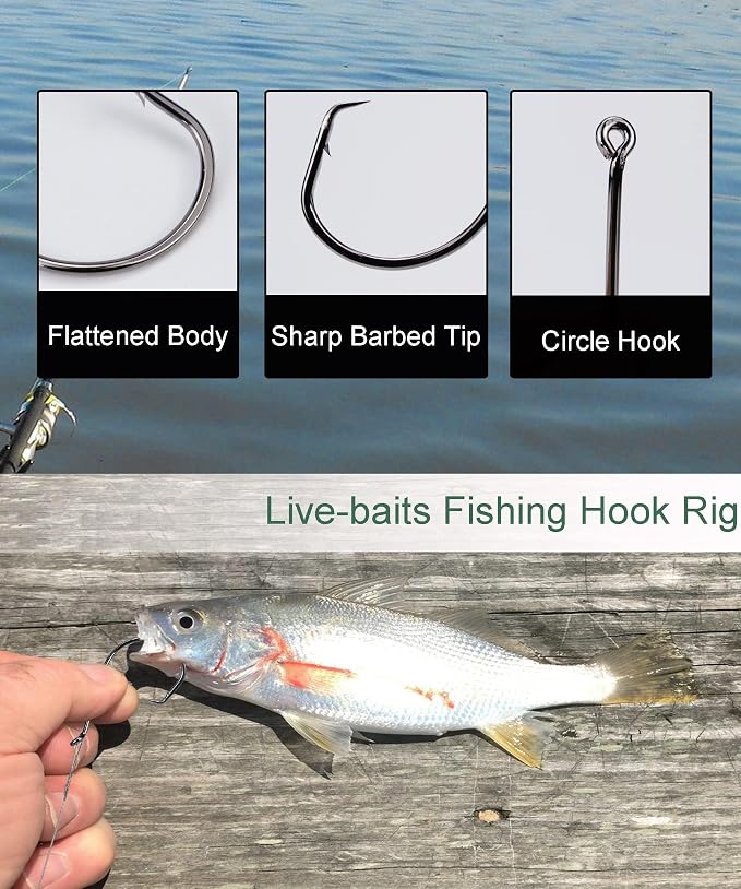 Fishing Circle Hooks Saltwater 50pcs Leader Hook Rigs for Catfish Bass With Offset Hooks