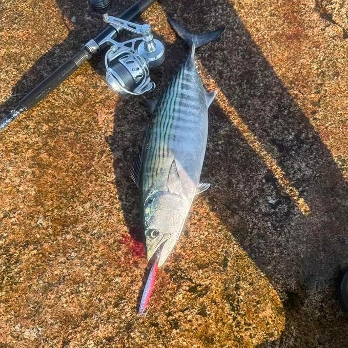 Saltwater Fishing Lures Fishing Jigs Fishing Spoons for Striped bass, Pompano, Spanish Mackerel ，Bluefish