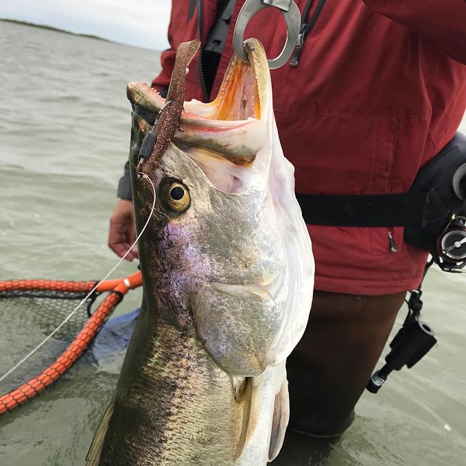 A.M. Fishing Curly Tail Jerkshad 4 Inch Soft Baits Garlic Infused,– 8 Pack – Saltwater & Freshwater Fishing Lures for Bass, Redfish, Snook, and Trout