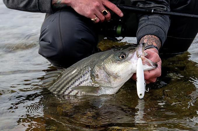 X-Walk™ Topwater Lure