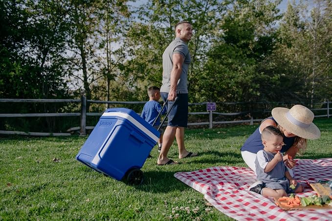 Igloo Hard Coolers | Profile II Series | Insulated Ice Chests | Roller Cooler with Wheels