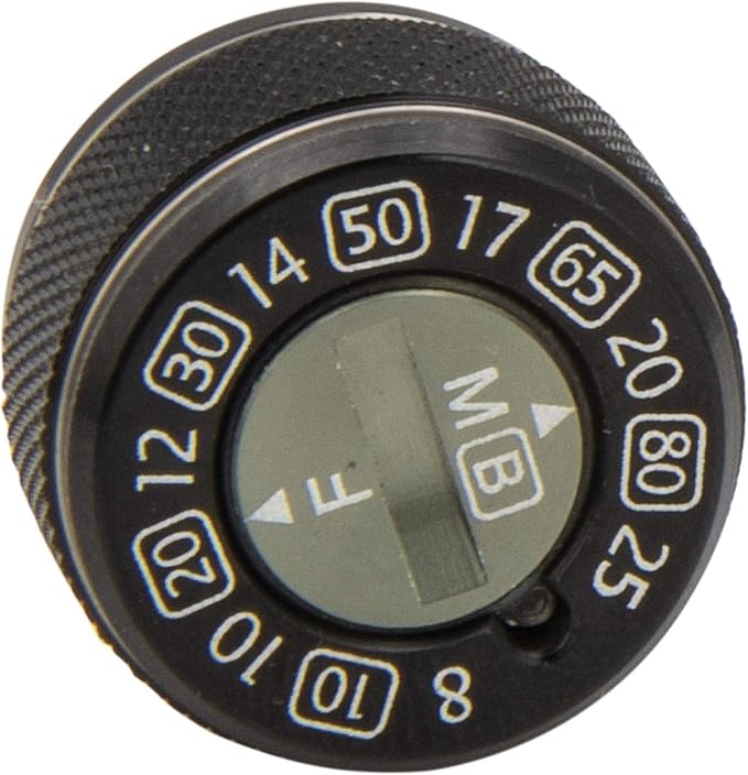 Lew's Custom Speed Dial, Model: CSSDBGS