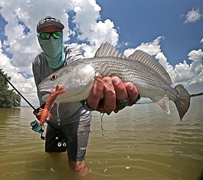 Q8 Super Bait Super Shrimps