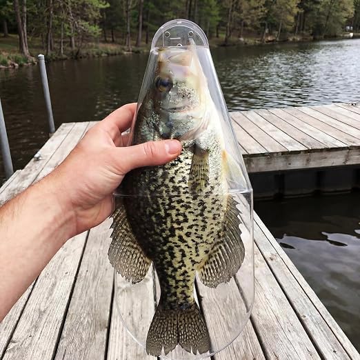 2 Pack Crappie Fish Measurers - 12-inch Capacity Crappie Fishing Measuring Tool, Quick Alternative to Fishing Tape