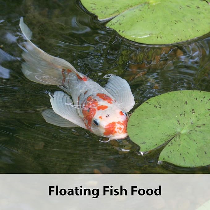 Kaytee Koi’s Choice Koi Floating Fish Food, for Koi, Goldfish and Pond Fish, 10 pounds (Pack of 2)