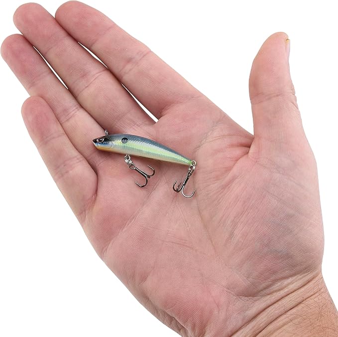 Berkley Finisher Fishing Hard Bait