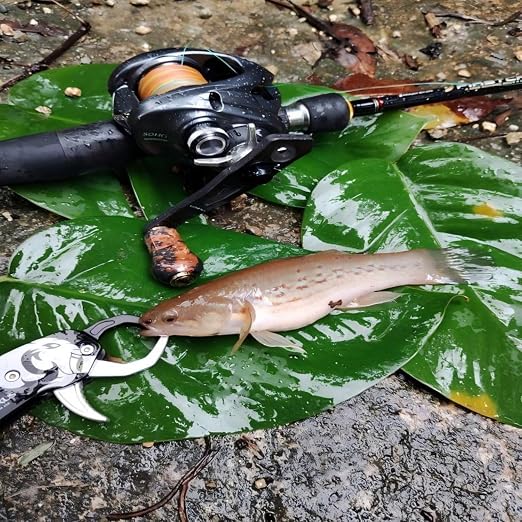 GOMEXUS Fish Lip Gripper, Portable Lightweight Fish Gripper, Aluminium Fish Grabber Tool, Lip Grippers Fishing, Mini Fishing Gripper with Lanyard