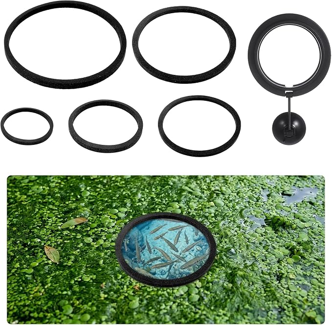 5 Sizes EVA Fish Feeding Ring and 1 Pcs Suction Cup Fish Feeder Ring, 6 Pcs Black Round Floating Rings for Aquarium Set, Floating Rings for Aquarium Betta Goldfish Guppy