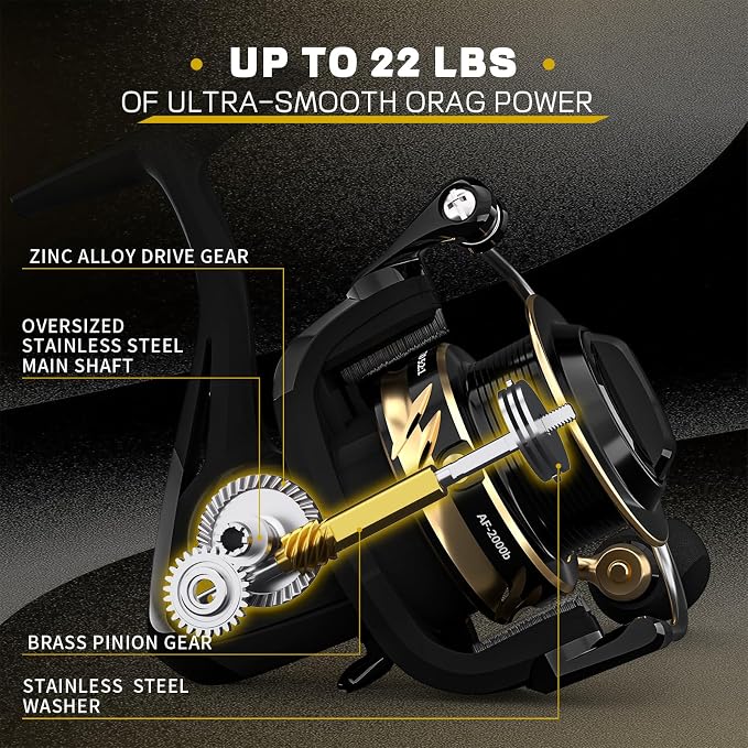 Ashconfish Spinning Fishing Reel, Graphite Body, 7+1 Stainless Steel BB, 5.0:1 Gear Ratio, Lightweight Spinning Reel for Freshwater Saltwater Fishing, Come with 109 yds Braided Line