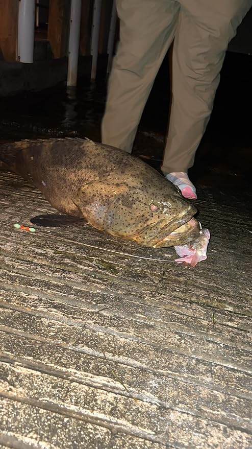 Shark Fishing Rig Bite Proof Leader with 12/0 Heavy Duty Shark/Grouper Fishing Hook