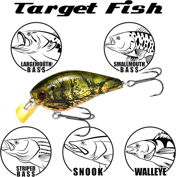 LUCKY CRAFT 1.5DRS Deep Rattle Sound Crankbait Fishing Lures, Shallow Diving Trout and Bass Lures, 3-4ft Depth, Square Bill Crankbait, Saltwater Fishing Gear and Accessories