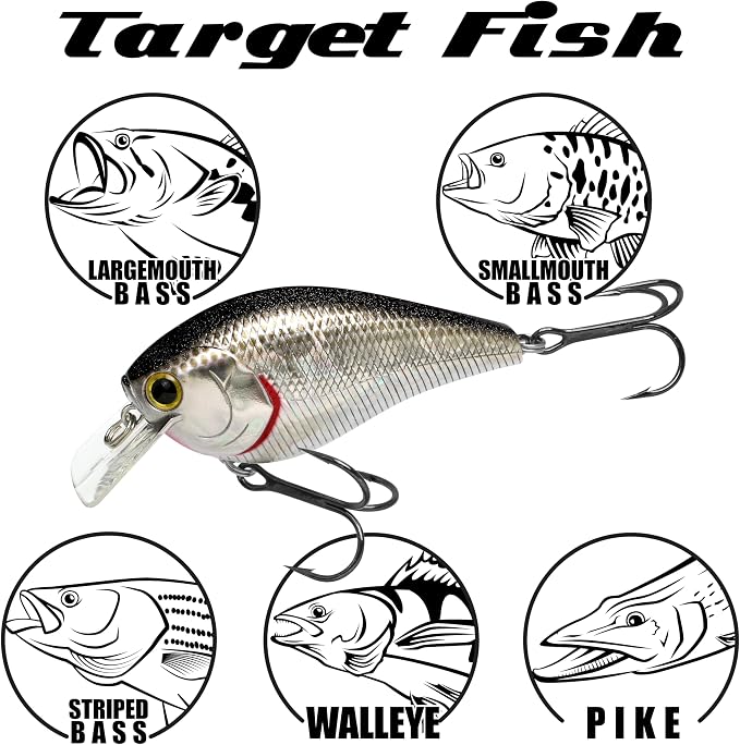 LUCKY CRAFT LC 2.5 Silent Crankbait Fishing Lures, 2-3/8” Squarebill Crankbait, Bass Lures, Floating 4ft Depth Hard Bait, Champion Freshwater Fishing Gear and Tackle Box Accessories