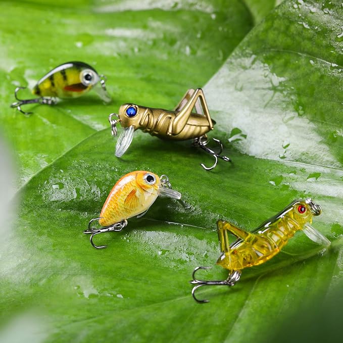 Skylety 10 Pieces Mini Fishing Lures Fishing Hard Baits Hooks Crankbaits Lures Baits Topwater for Freshwater Saltwater Trout Bass Perch with Box