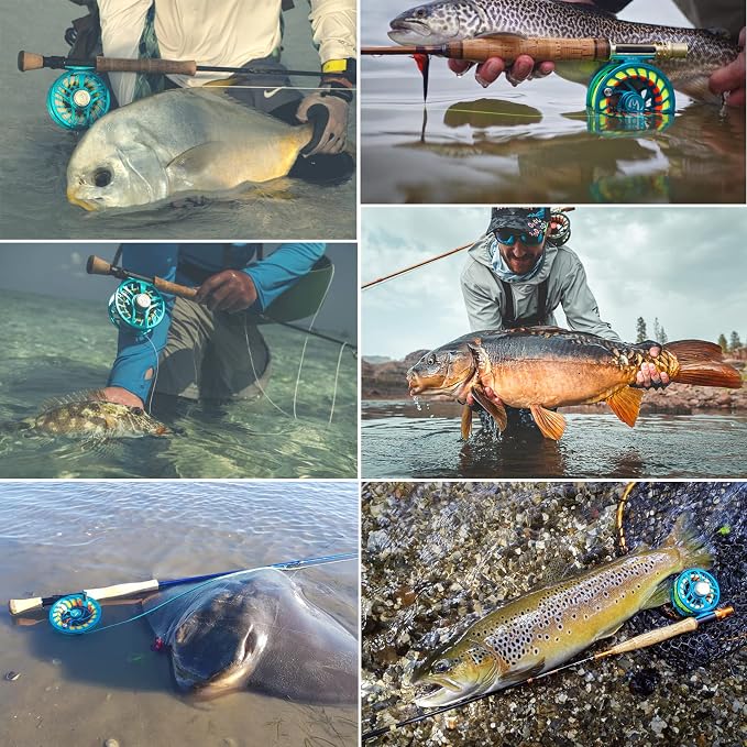 M MAXIMUMCATCH Maxcatch Sparta Fly Reel Fully Sealed Lightweight Expert Fly Fishing Reel(3/5wt, 5/7wt, 7/9wt, 8/10wt)