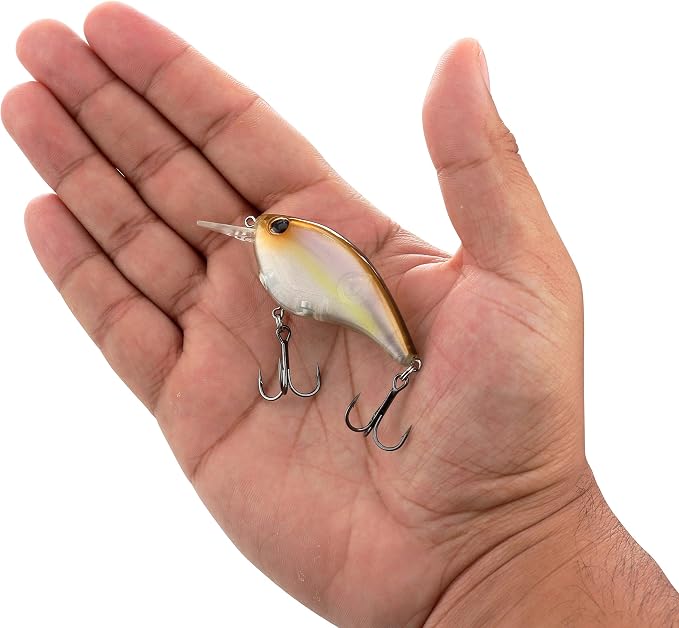 Berkley Clickin' Frittside Hard Bait