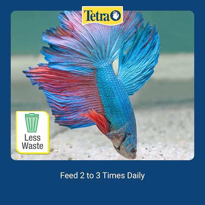 Tetra TetraBetta Floating Mini Pellets (1 Bag), 0.15 oz (77023) (Pack of 2)