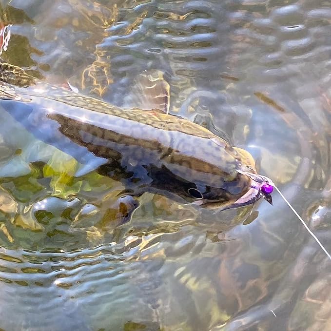 DRAGONtail Basic Tenkara Level Line Starter Kit