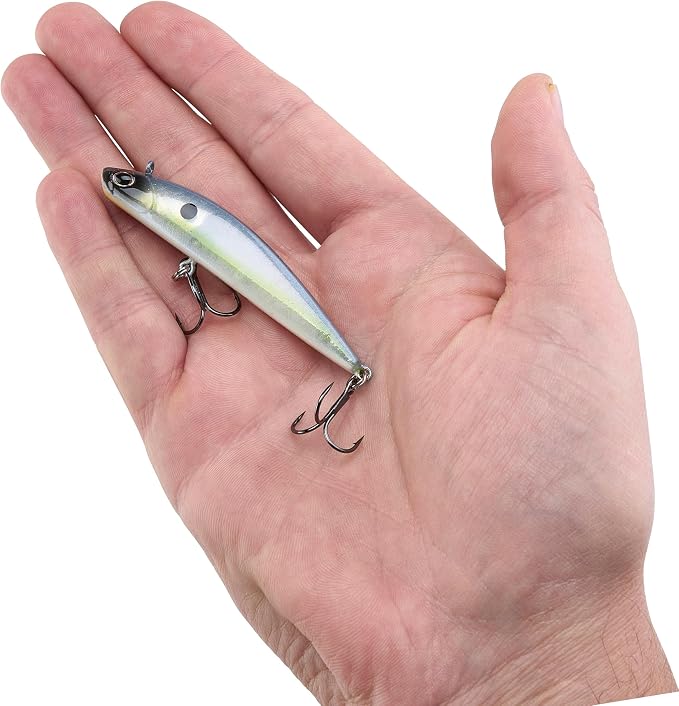 Berkley Finisher Fishing Hard Bait