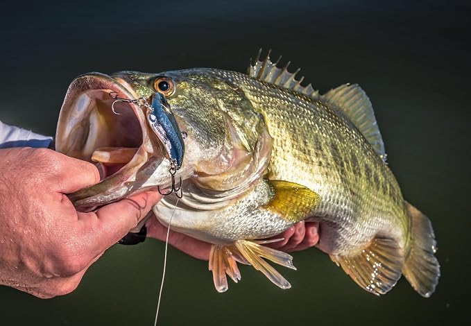 Berkley Warpig Fishing Hard Bait