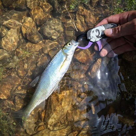 GOMEXUS Fish Lip Gripper, Portable Lightweight Fish Gripper, Aluminium Fish Grabber Tool, Lip Grippers Fishing, Mini Fishing Gripper with Lanyard