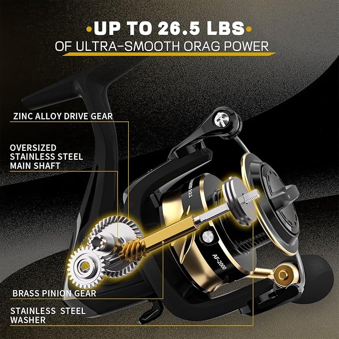 Ashconfish Spinning Fishing Reel, Graphite Body, 7+1 Stainless Steel BB, 5.0:1 Gear Ratio, Lightweight Spinning Reel for Freshwater Saltwater Fishing, Come with 109 yds Braided Line