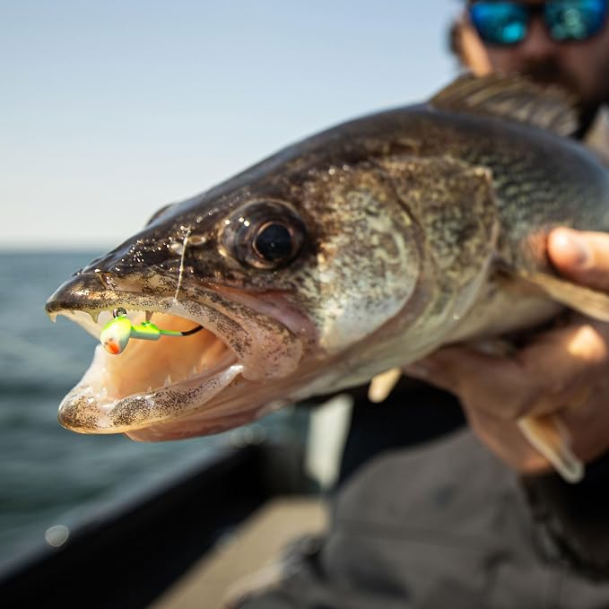 Northland Fishing Tackle Freshwater Tungsten Short Shank Fishing Jig for Bass, Walleye, Trout, and Many Others