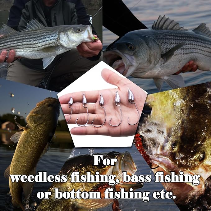 FishTrip Bullet Jig Head Weighted Hooks,10pcs Texas Rigs EWG Hooks for Bass Fishing Saltwater 1/16 1/8 1/4 1/2 oz