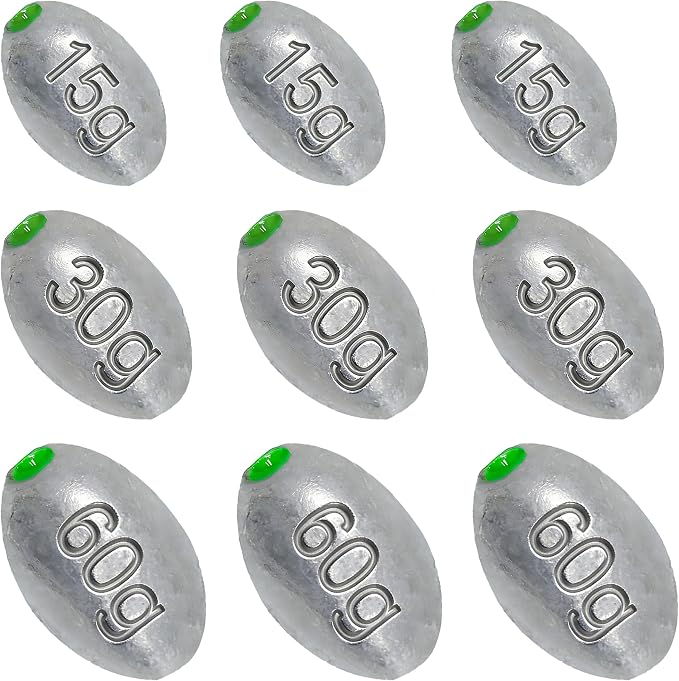 Egg Sinkers Bullet Fishing Weights Oval Shaped with Plastic Core Slip Sinkers for Catfish Fishing Casting Saltwater and Freshwater 1/5oz to 2oz
