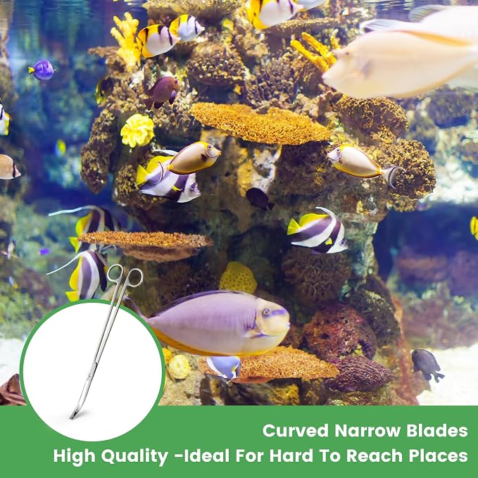 12" Stainless Steel Aquarium Scissors, Curved Long Aquatic Plant Trimming Scissors for Aquascaping, Fish Tank & Terrarium Maintenance in Fresh & Salt Water (Silver)