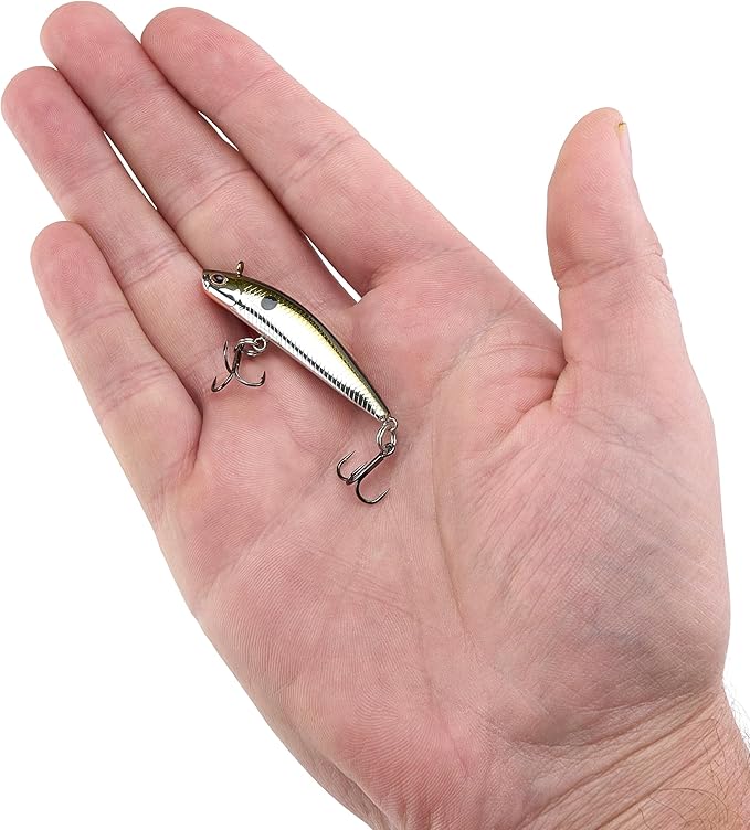 Berkley Finisher Fishing Hard Bait