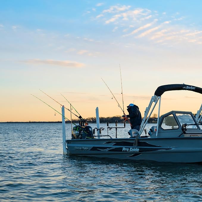 Bait Runner Series Spinning Reel