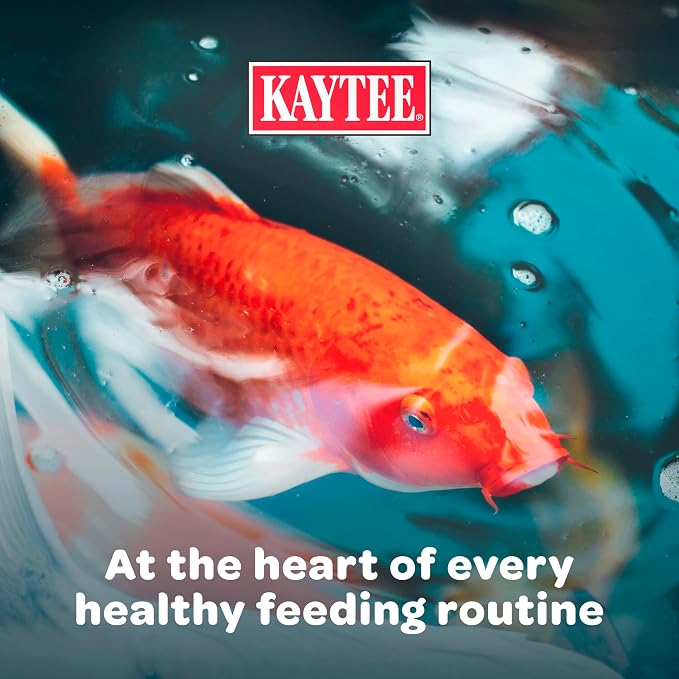 Kaytee Koi’s Choice Koi Floating Fish Food, for Koi, Goldfish and Pond Fish, 10 pounds (Pack of 2)