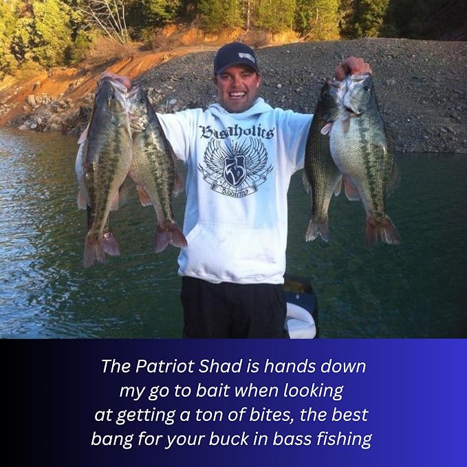 USA Bass Tackle Patriot Shad - Scent Infused Paddle Tail Swimbaits Pre Rigged Fishing Lures Premium Bait Strong Owner Hook, Fishing Gear for Bass Freshwater Predator Fish