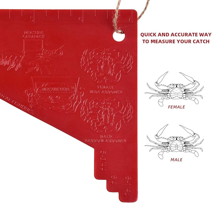 Dungeness Crab Gauge Measure with Ruler Multi Shrimp Clam Measuring Tool for Oregon, Washington and California