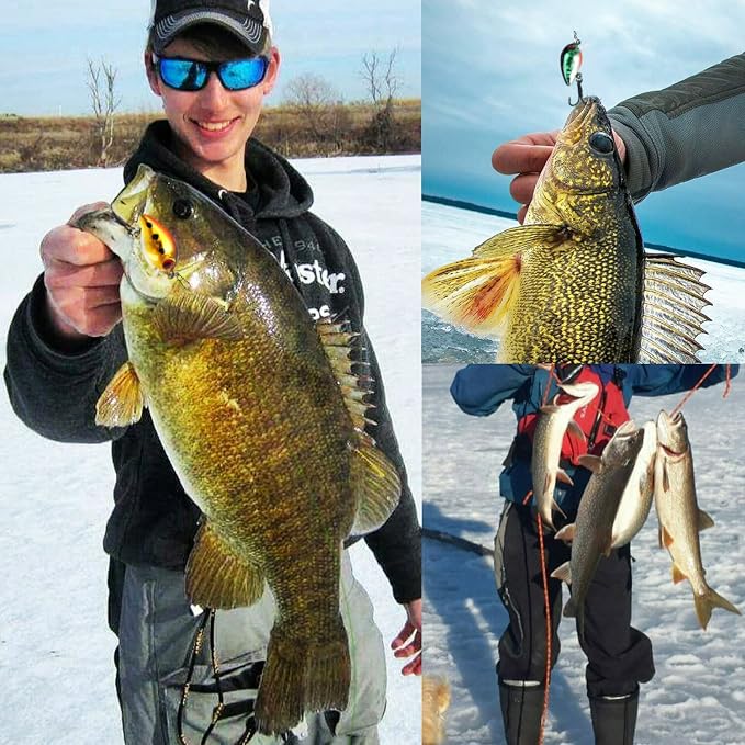 Sougayilang Fishing Lures Large Hard Bait Minnow VIB Lure with Treble Hook Life-Like Swimbait Fishing Bait Popper Crankbait Vibe Sinking Lure for Bass Trout Walleye Redfish