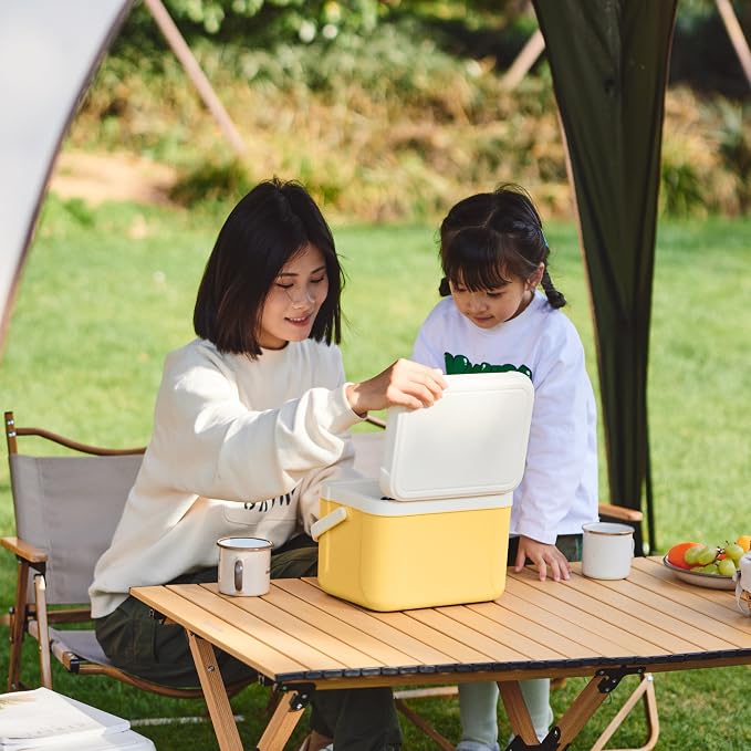 Naturehike 5.3/15/19 QT Hard Cooler, Insulated Ice Chest Box, Portable Ice Retention Cooler for Beach Camping Picnic Fishing Barbecue