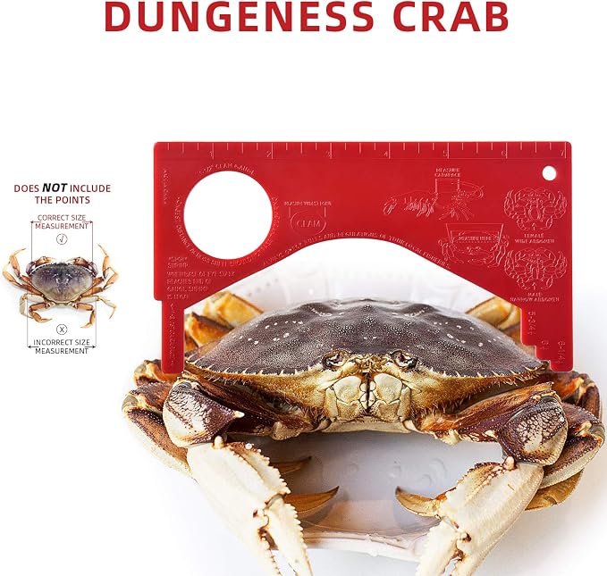 Dungeness Crab Gauge Measure with Ruler Multi Shrimp Clam Measuring Tool for Oregon, Washington and California