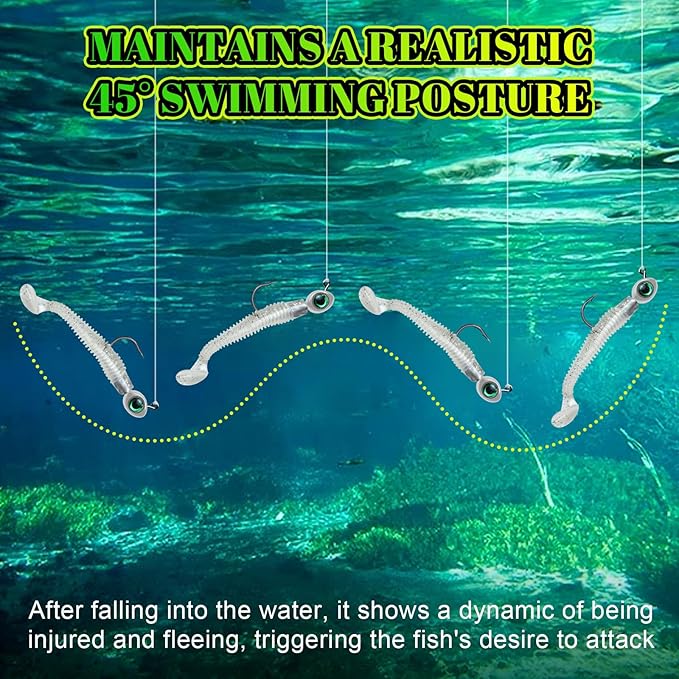 3D Fish Eye Jig Heads, 5 Colors with Lifelike Eyes, Multi Weights, Barbed Fishing Hooks for Walleye Bass Crappie