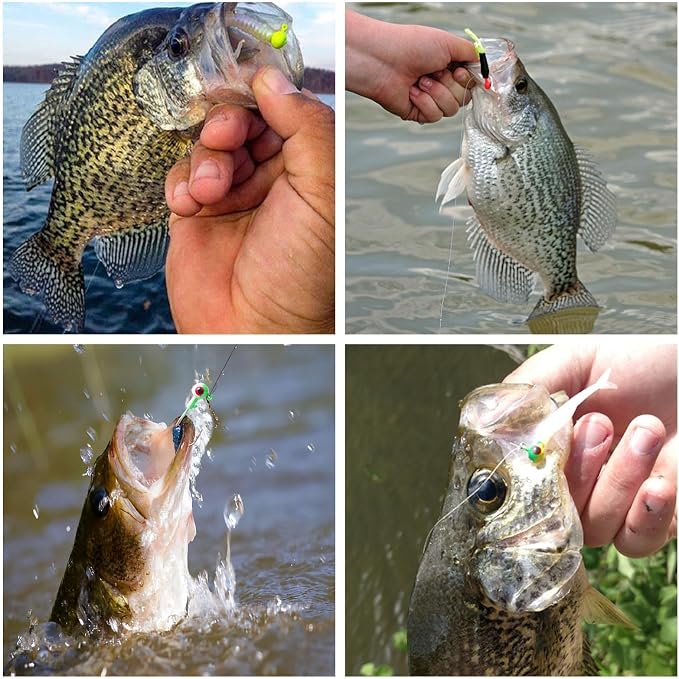 Crappie Jig Heads Kit, 75 Pieces Fishing Jig Head Hooks for Fishing Crappie Bass Trout Walleye 1/8oz 1/16oz 1/32oz