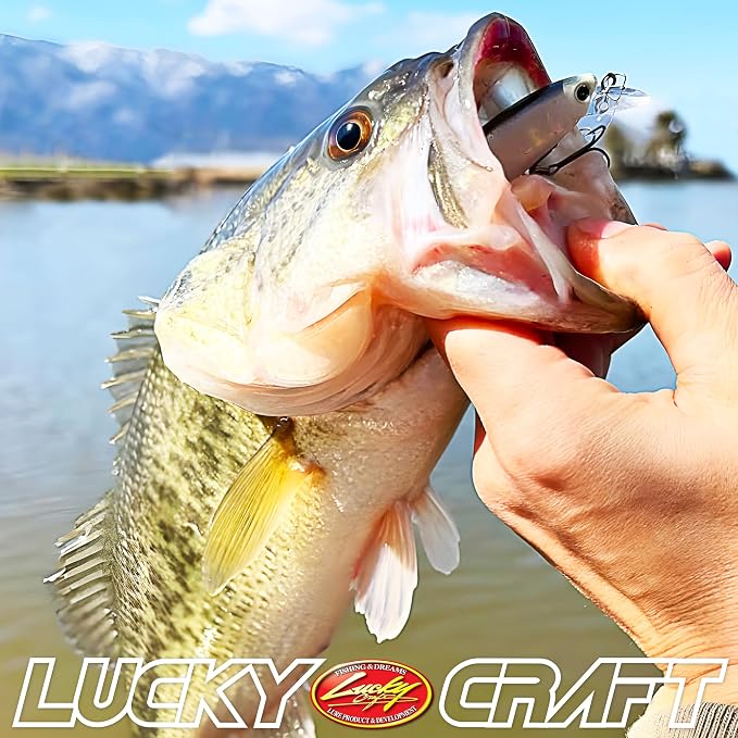 LUCKY CRAFT Pointer 78SP Fishing Lures, 3” Jerkbait Freshwater Bass & Trout Lures, Suspending 4ft–5ft Depth, Jerkbait with Walk-the-Dog Action, Precision Bass Fishing Gear and Accessories