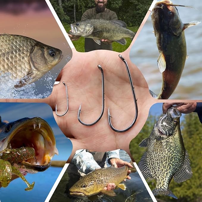 Baitholder Fishing Hooks 50Pcs Bait Holder Hooks Offset/Double Barbed/Long Shank/Down Eye for Soft Live Baits Saltwater
