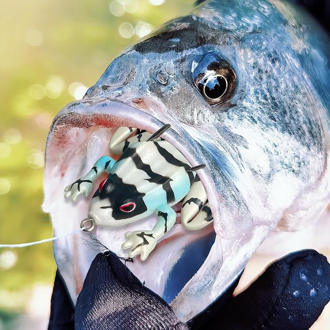 Pristis 3 pcs Topwater Fishing Plopper Lures, Floating Popper Bait Set with Chemically Sharpened Hooks for Saltwater Freshwater, Top Water Plopping Swimbait Teaser for Bass Tuna Perch Pike Crappie